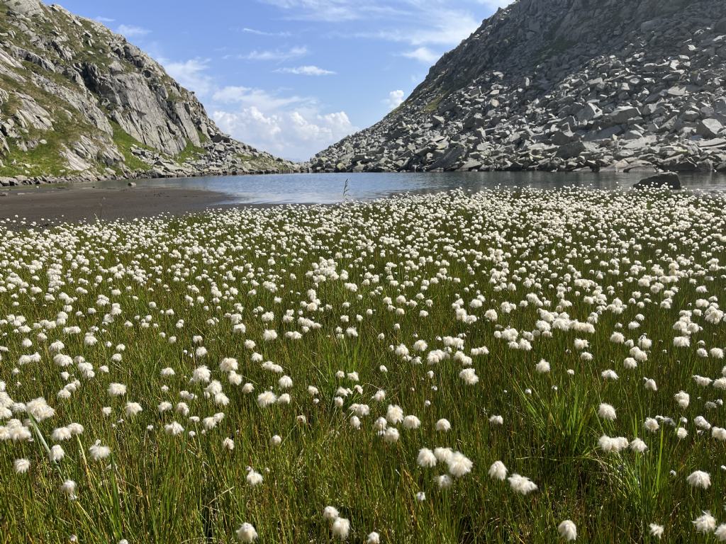 Laghi.......del TRENTINO